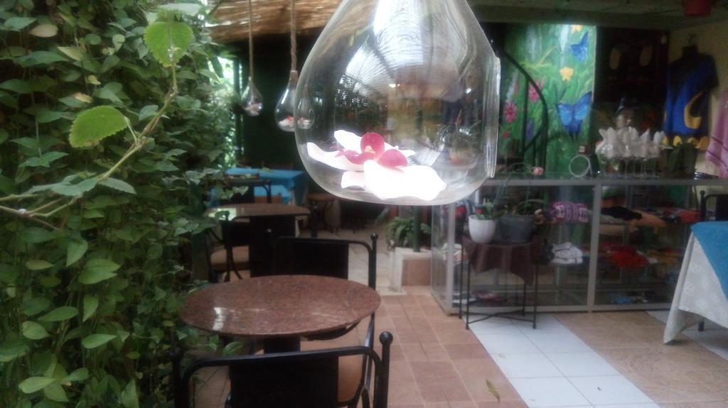 Hotel Los Jardines De Монте-Верде Экстерьер фото